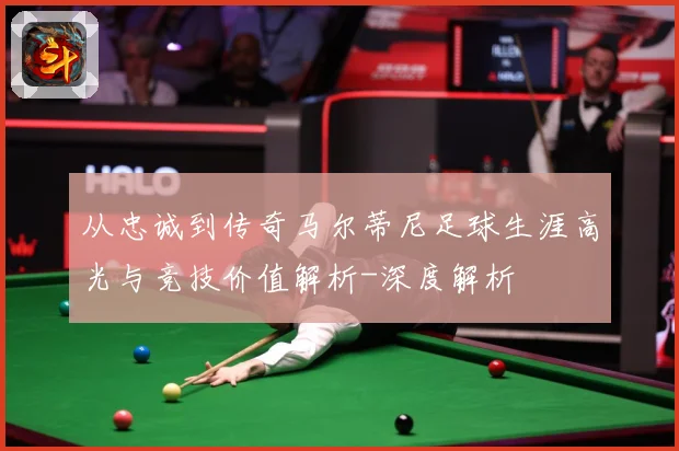 从忠诚到传奇马尔蒂尼足球生涯高光与竞技价值解析-深度解析